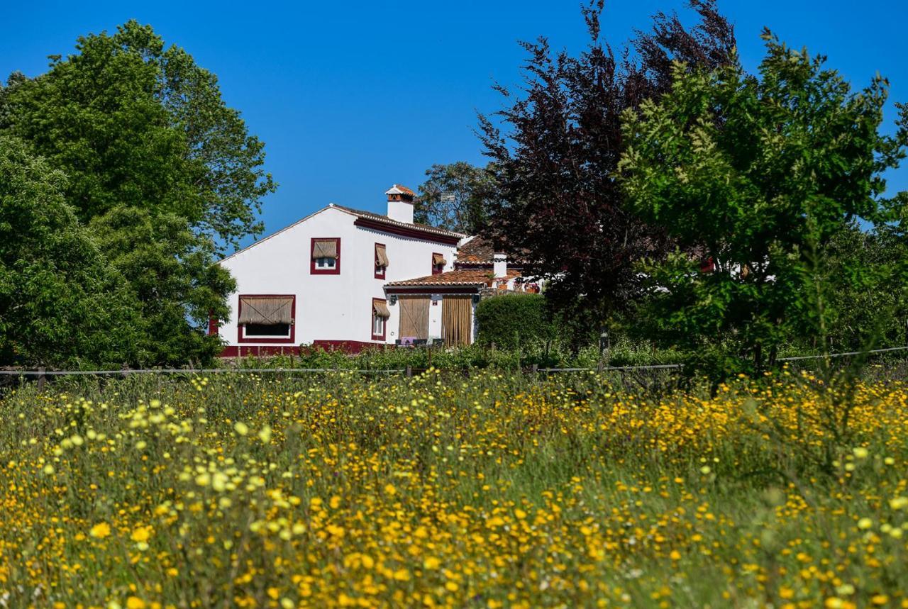 Quinta Da Dourada Hotel Portalegre Exterior foto